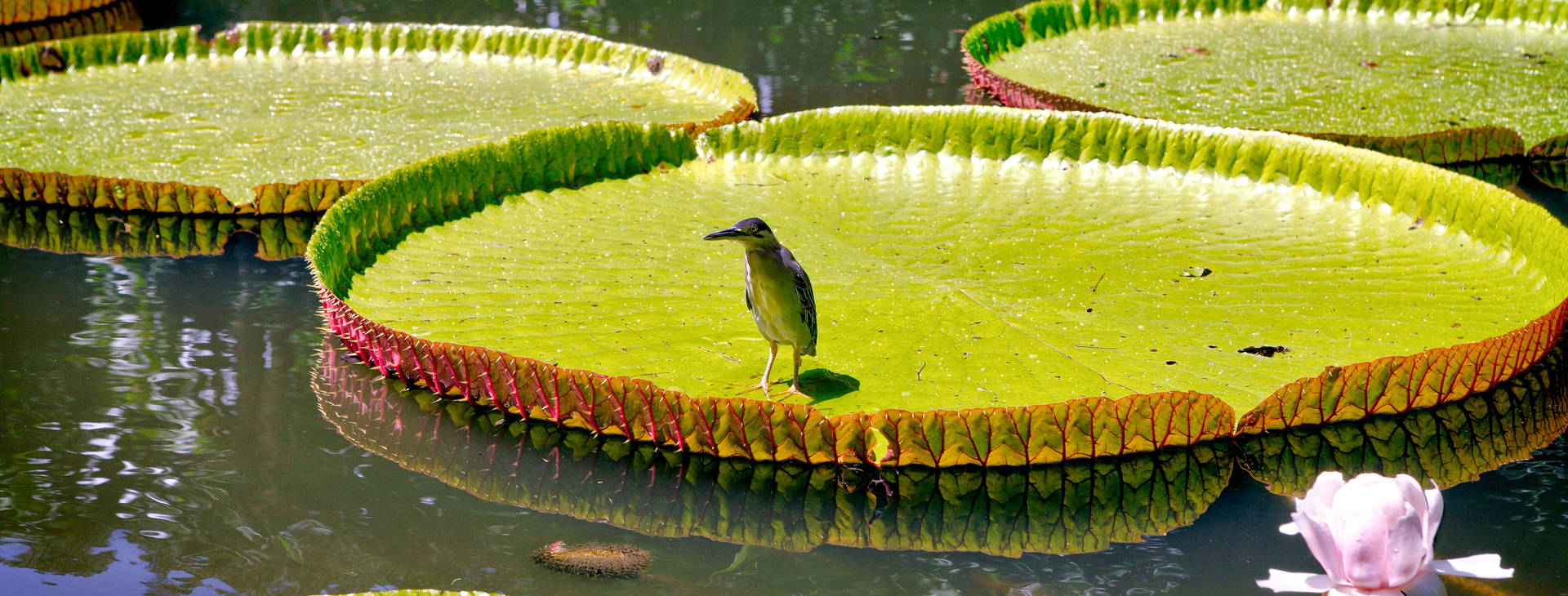 Ubytování WEB Obrázek19