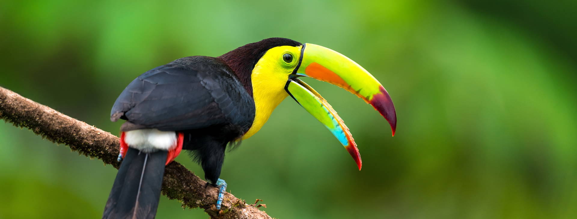 Ubytování WEB Obrázek23