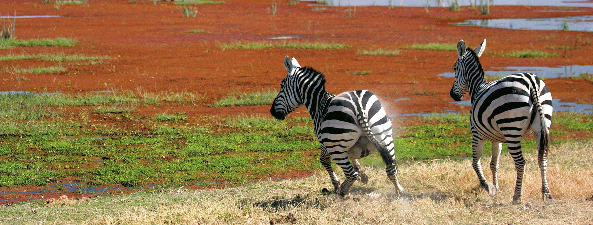Papillon Lagoon Reef KSS Obrázek4