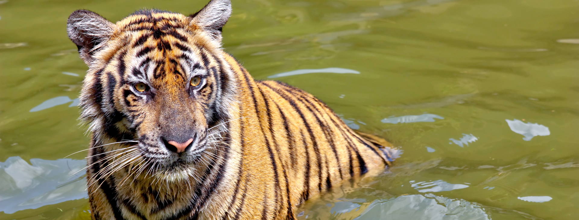 Ubytování IGP Obrázek1