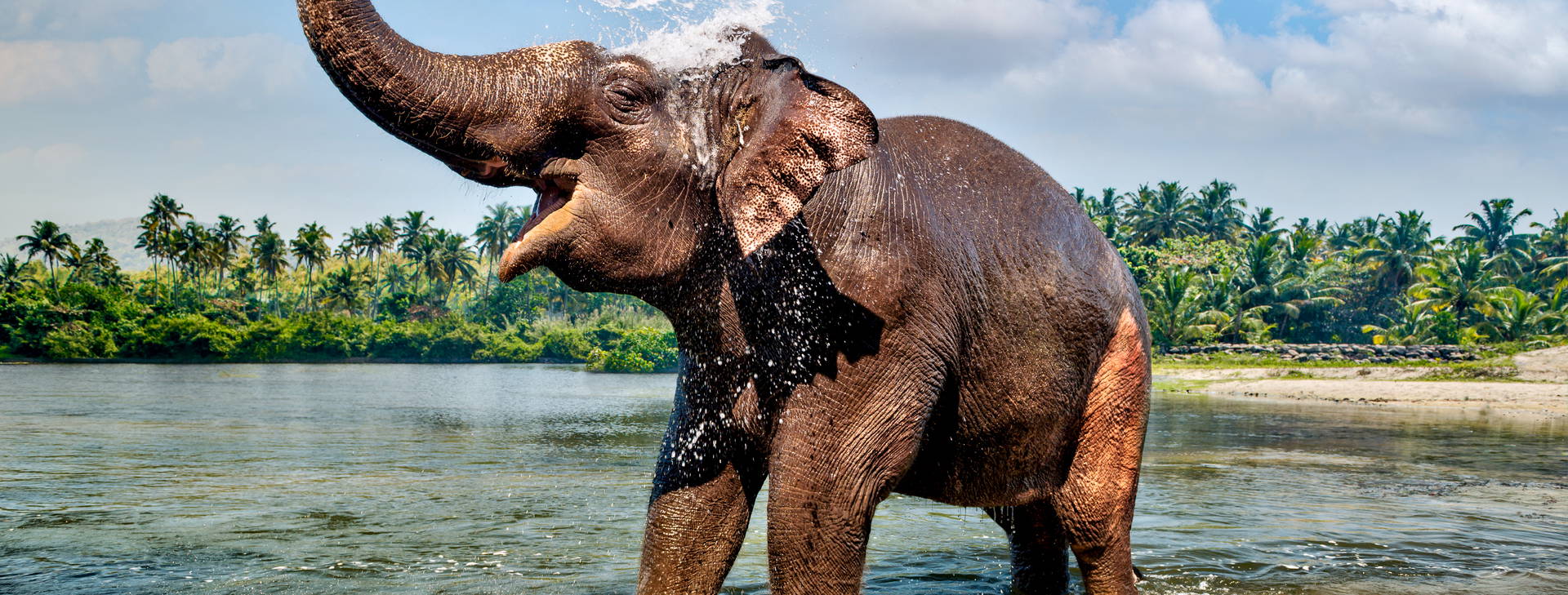 Ubytování IGP Obrázek3