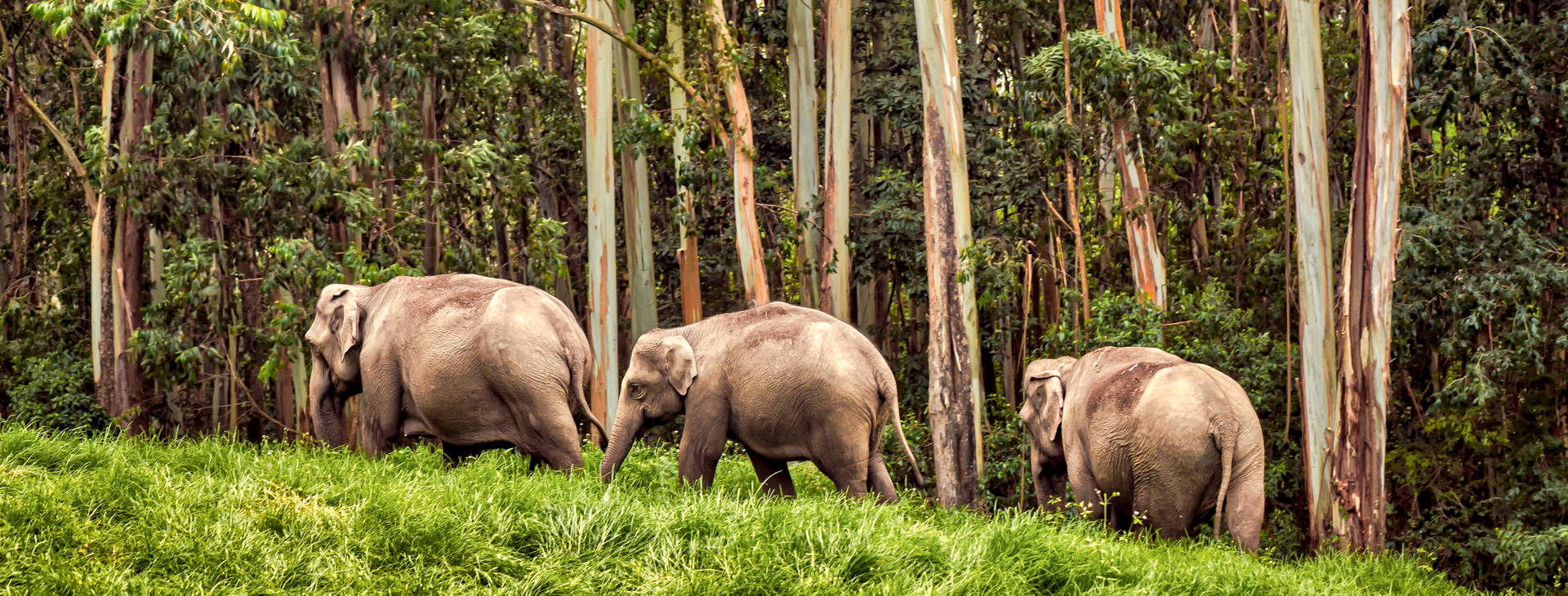 Ubytování IGP Obrázek13