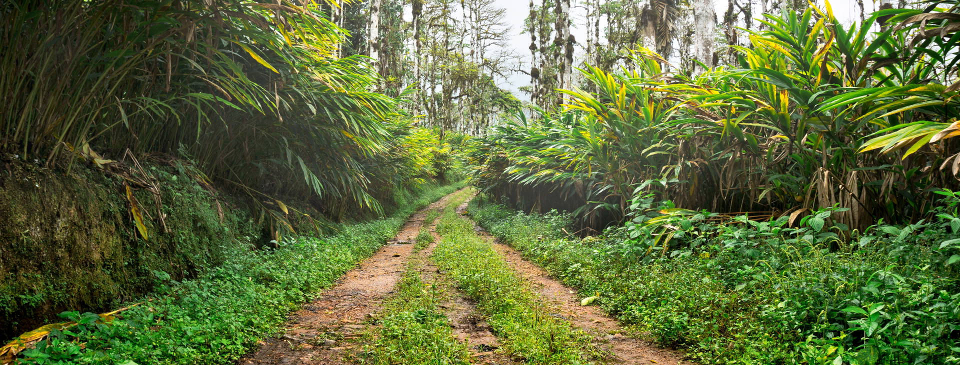 Ubytování IGP Obrázek14