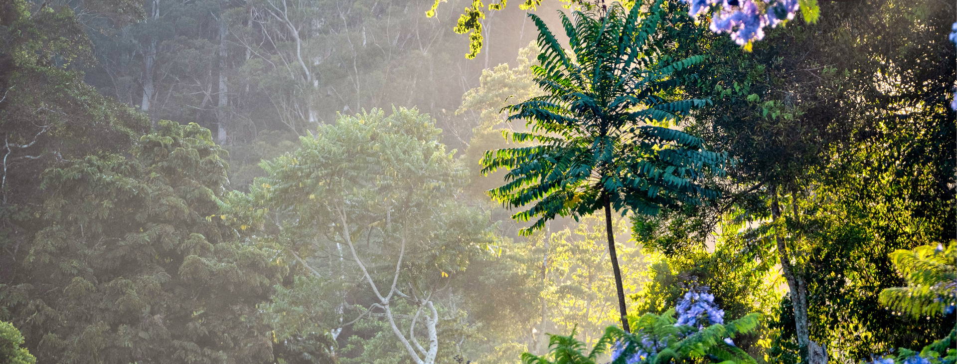 Ubytování HAI (Pride of America) Obrázek10