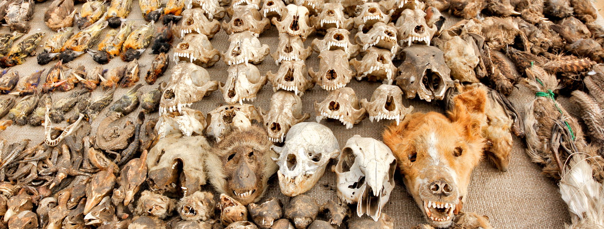 Ubytování BNT Obrázek10