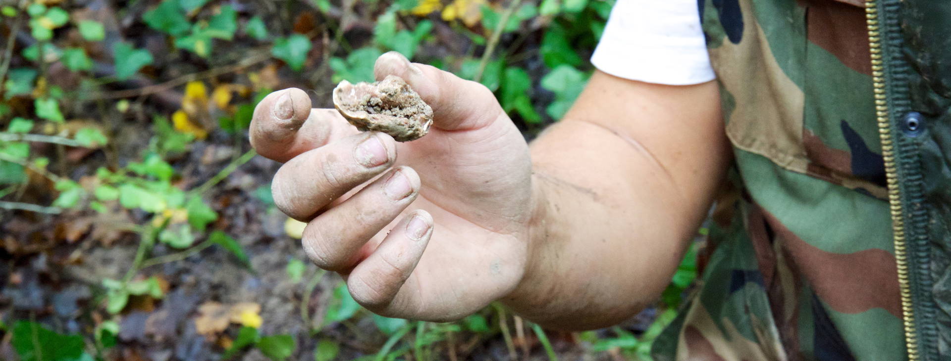 Ubytování CAR Obrázek1
