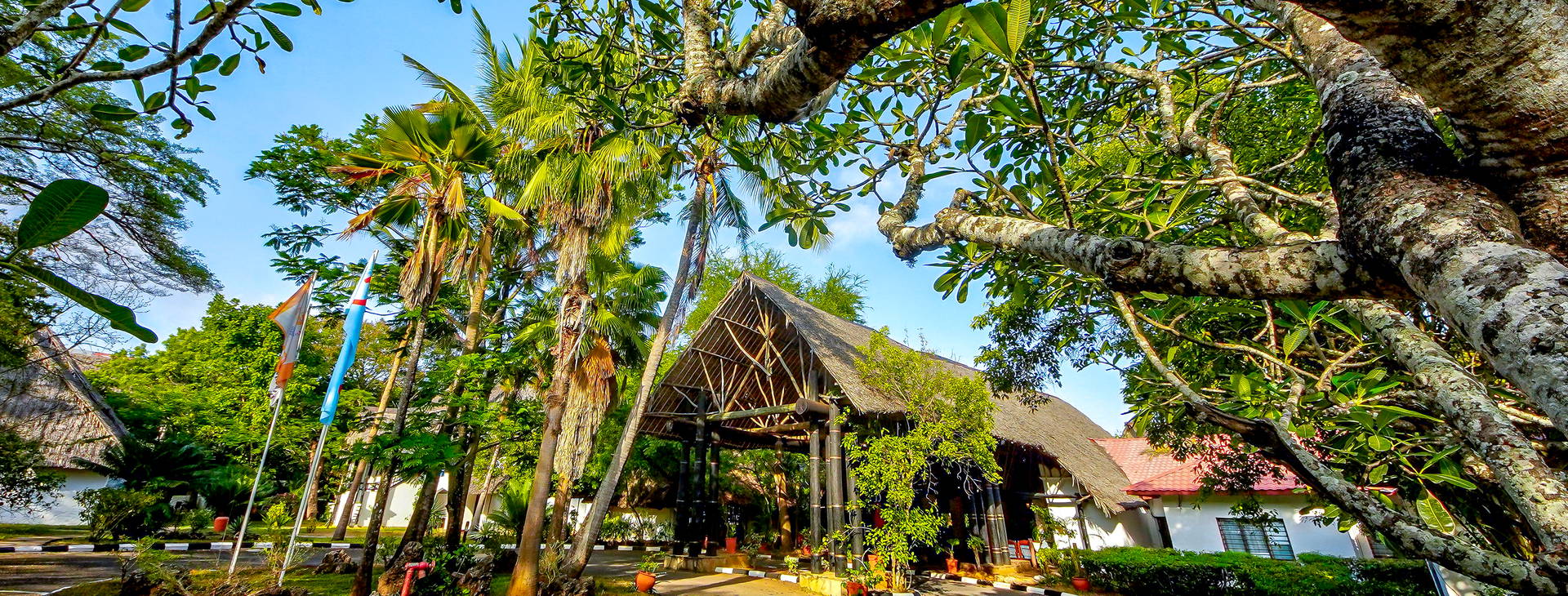 Papillon Lagoon Reef Obrázek22