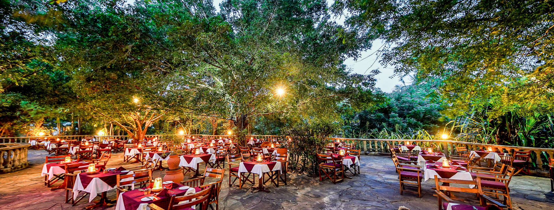 Papillon Lagoon Reef Obrázek20