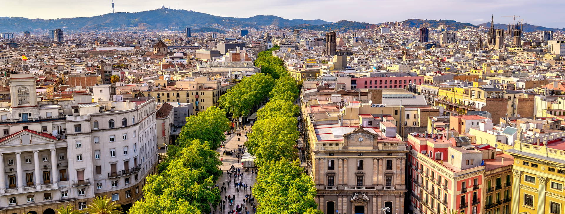 Ubytování RBW (MSC World Europe) Obrázek21