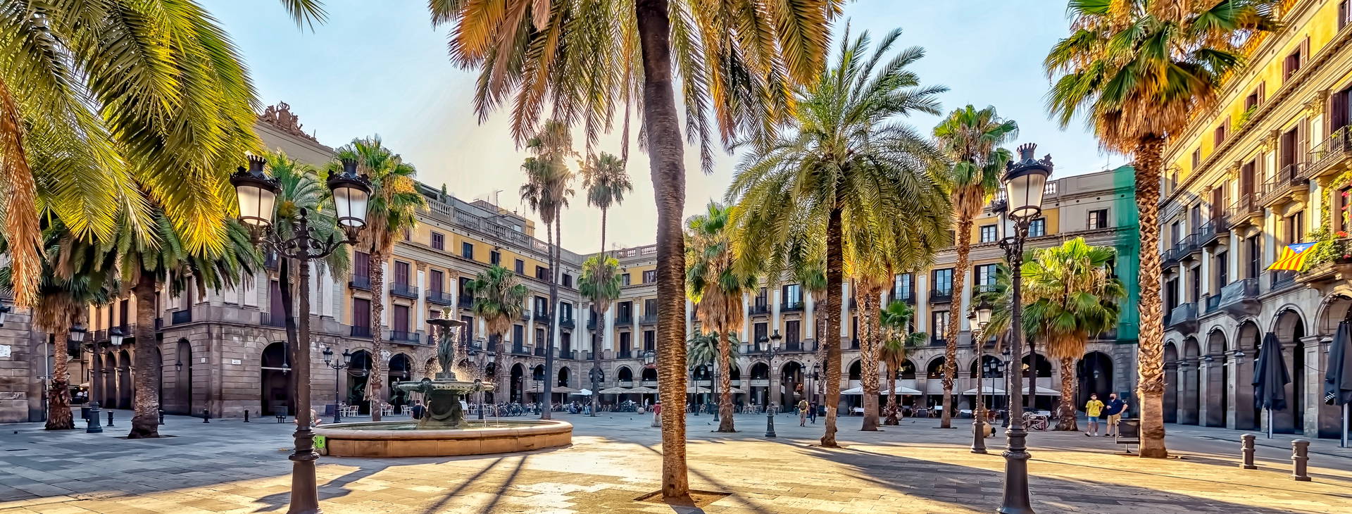 Ubytování RBW (MSC World Europe) Obrázek28