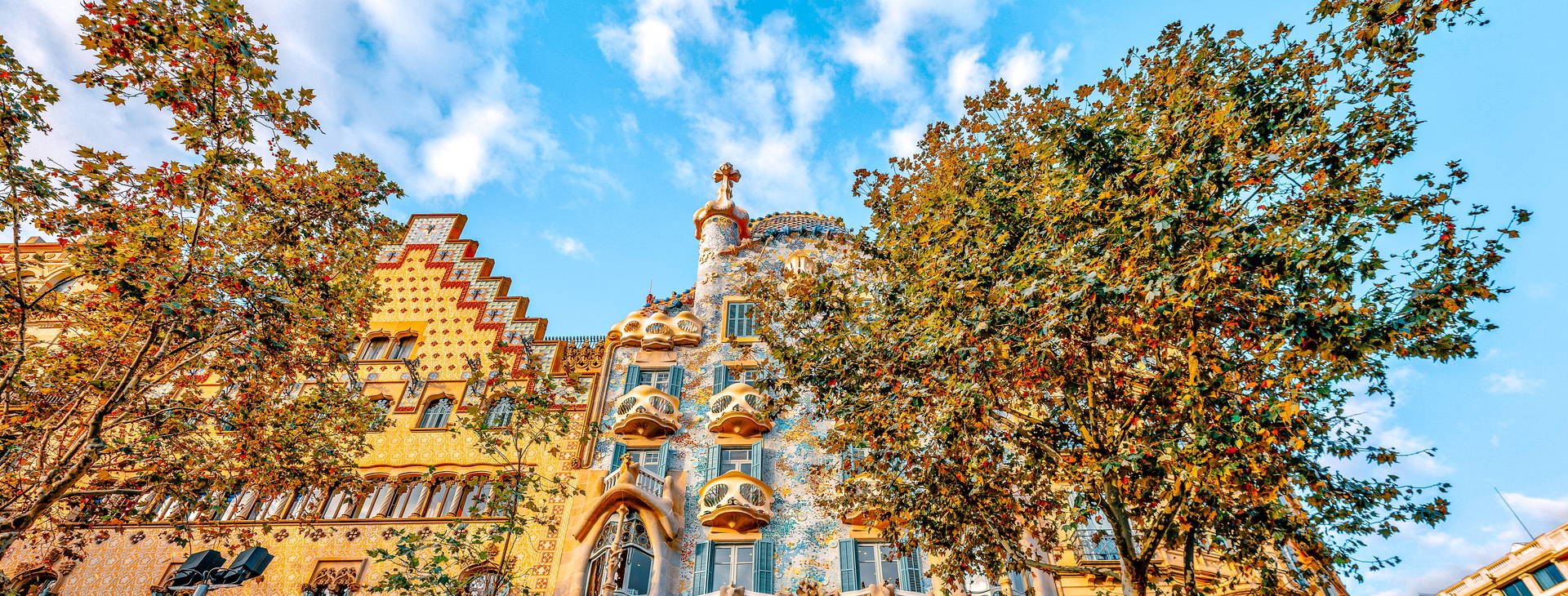 Ubytování RBW (MSC World Europe) Obrázek23