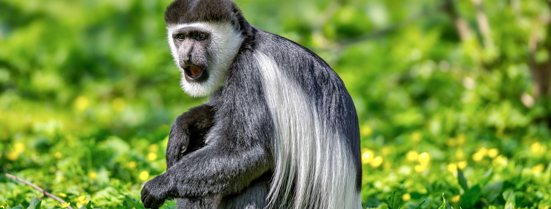 Ubytování ETP Obrázek2