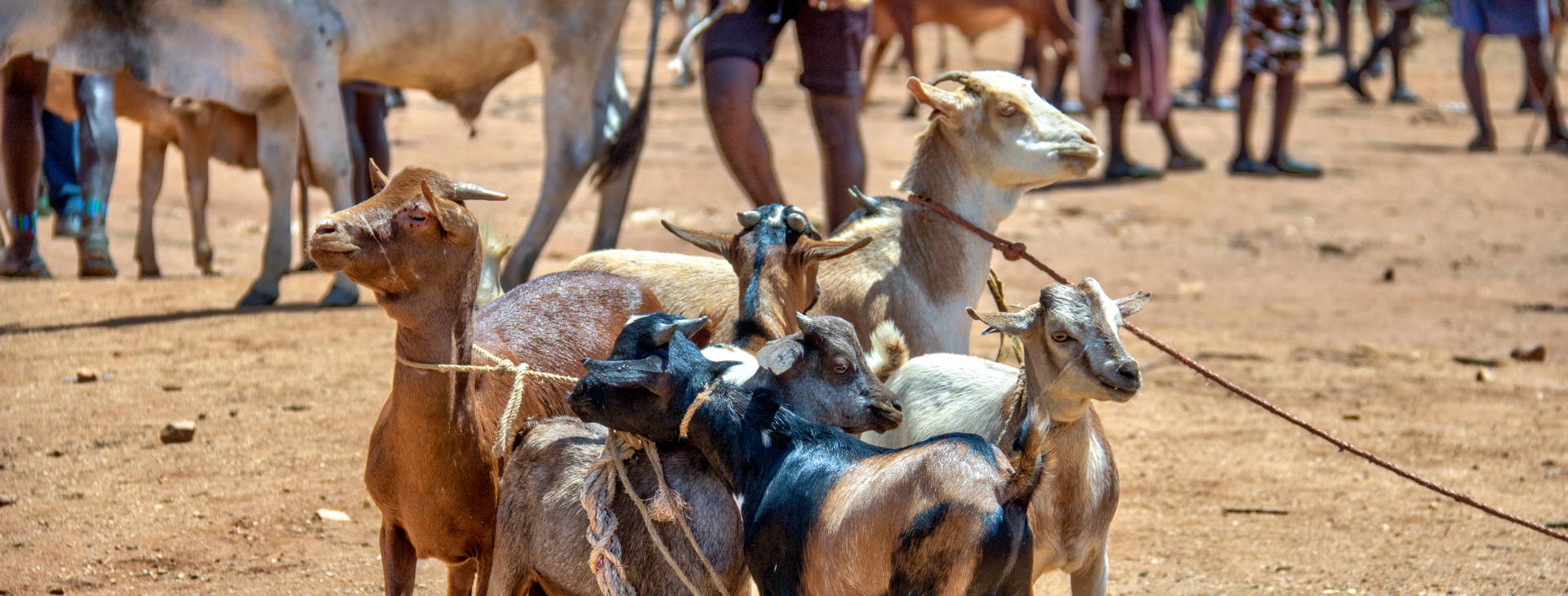 Ubytování ETP Obrázek32