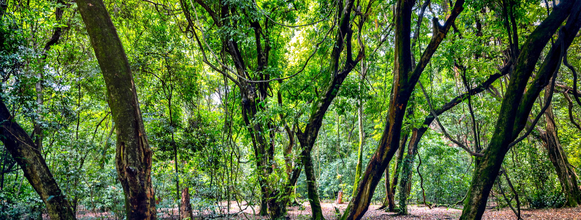 Ubytování ETP Obrázek35