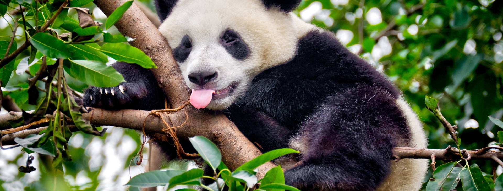 Ubytování CTF Obrázek6