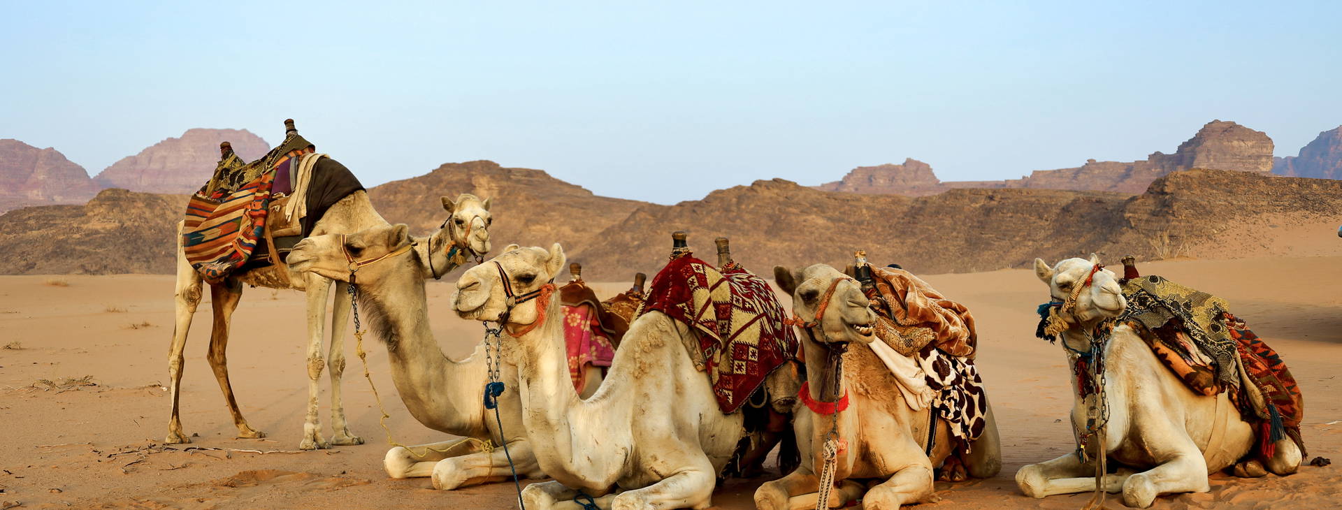 Ubytování ZIL Obrázek19