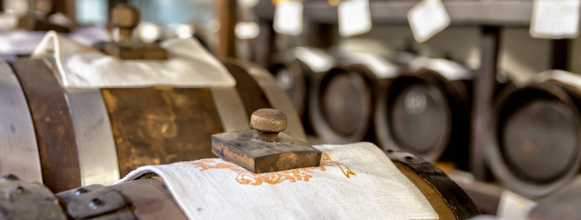 Ubytování BGC Obrázek8