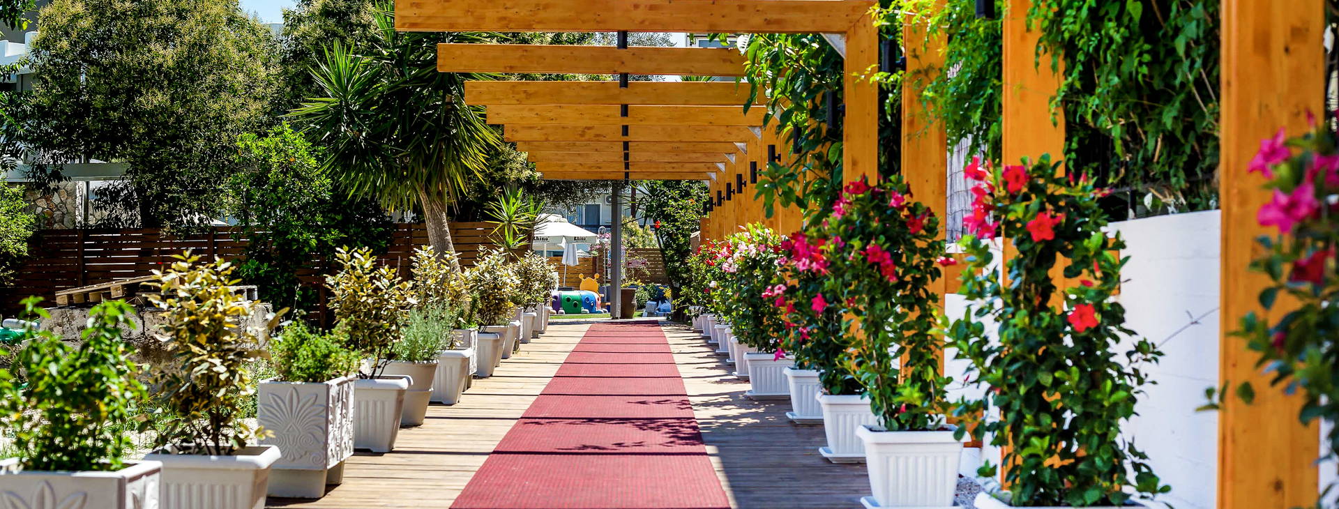 Sunny Days Obrázek7