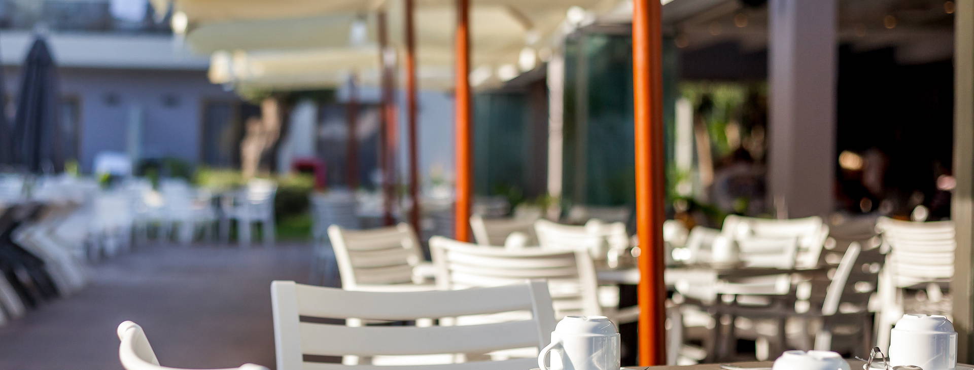 Sunny Days Obrázek10