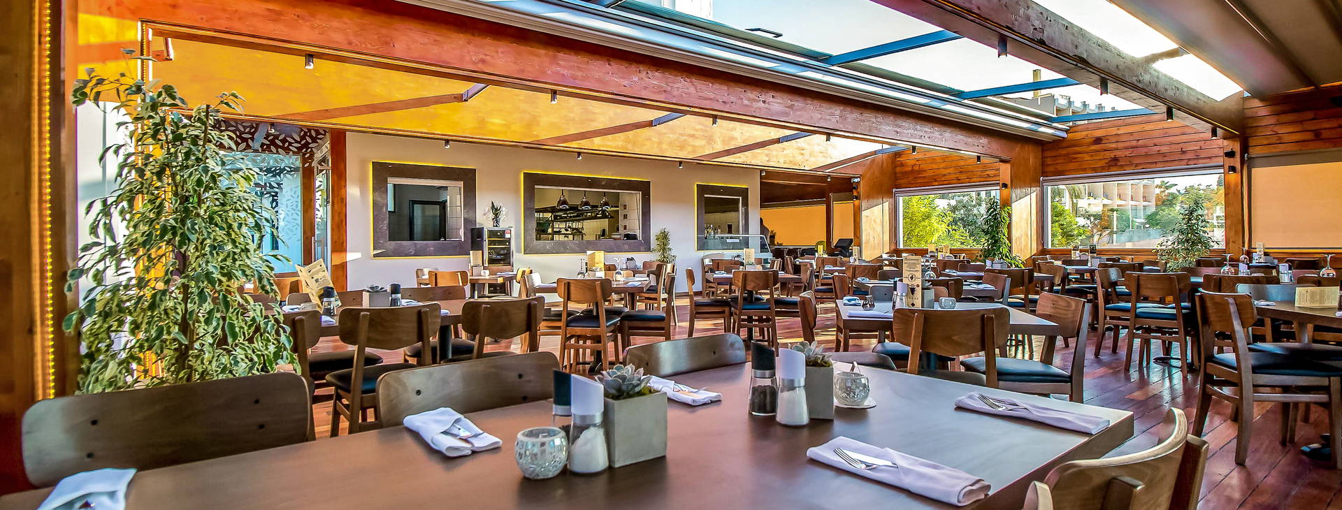 Sunny Days Obrázek15