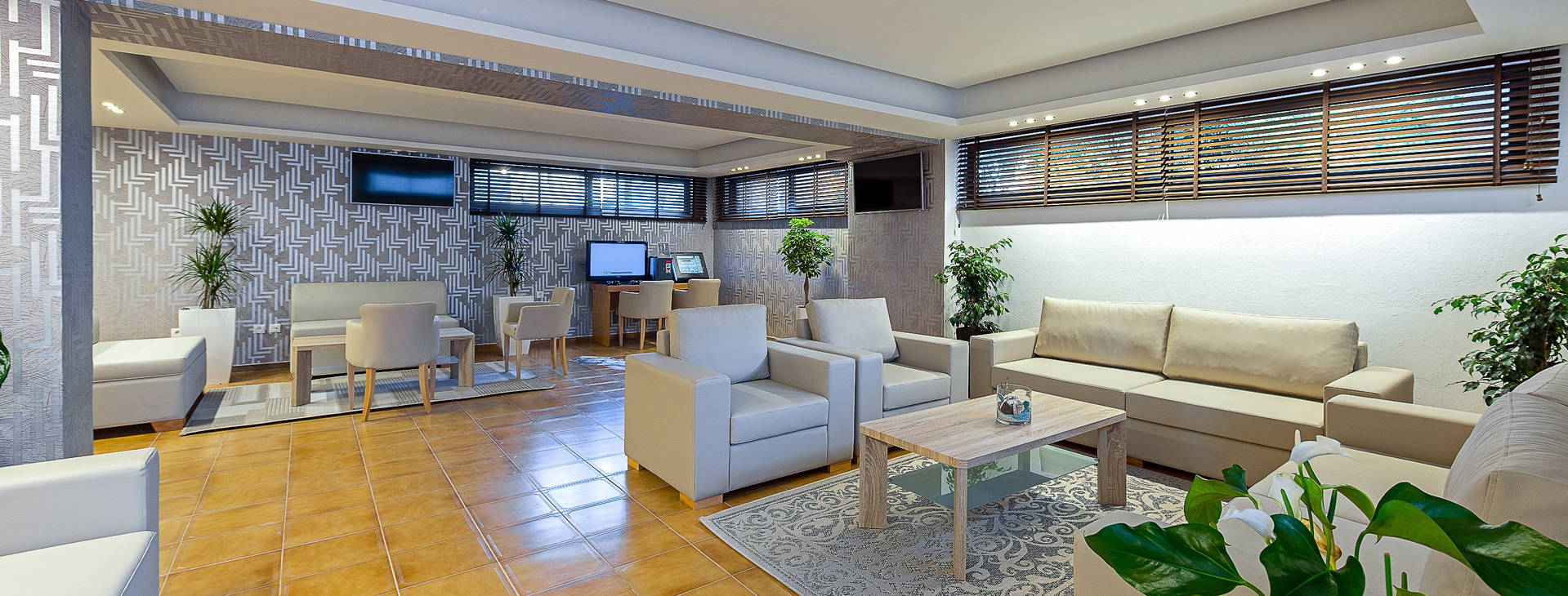 Sunny Days Obrázek22