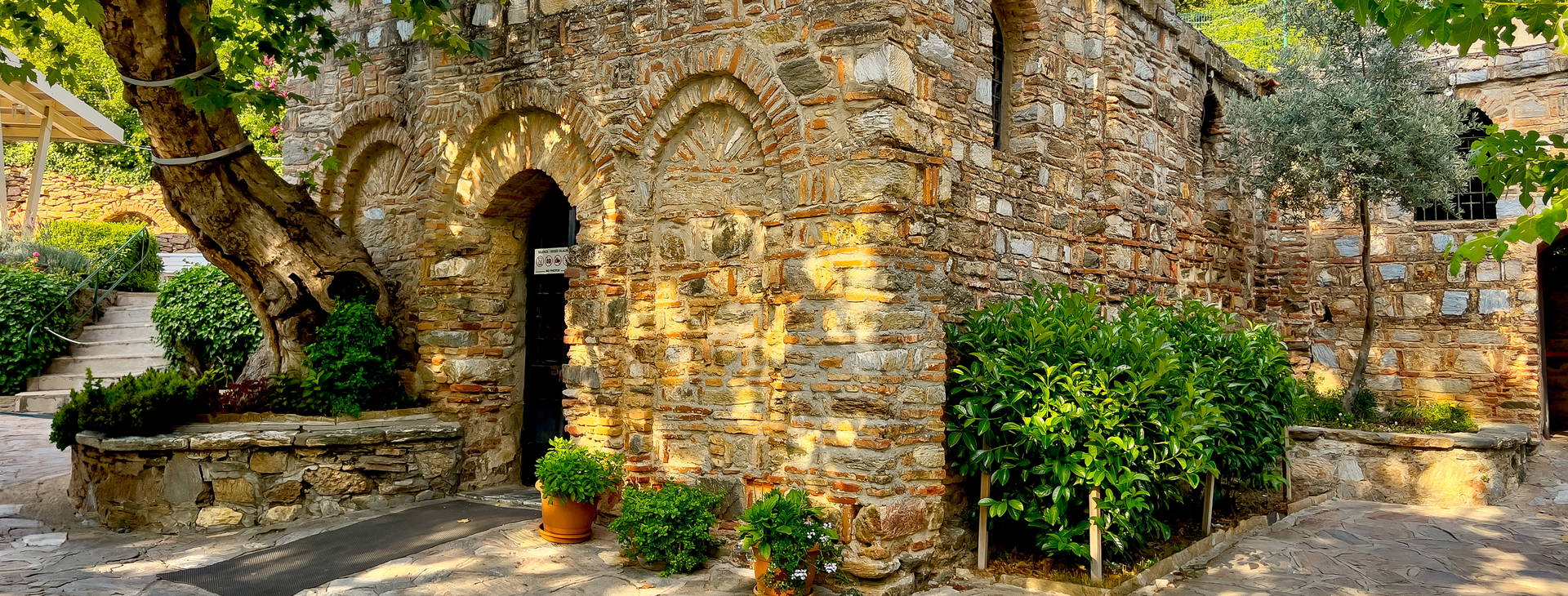 Ubytování RIS (MSC Fantasia) Obrázek23