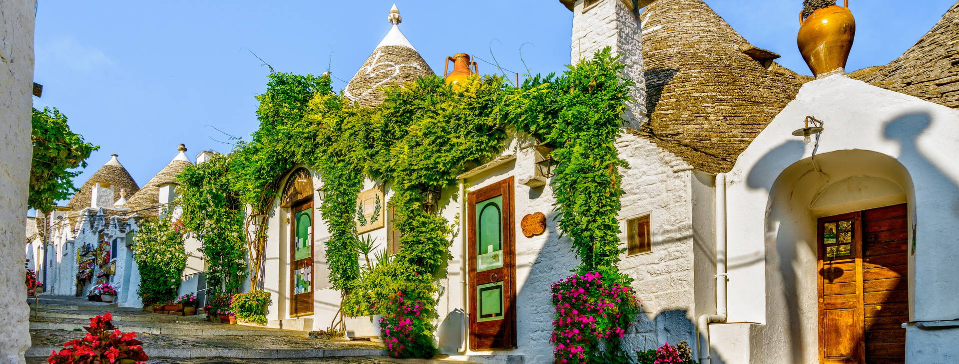 Ubytování RIS (MSC Fantasia) Obrázek35