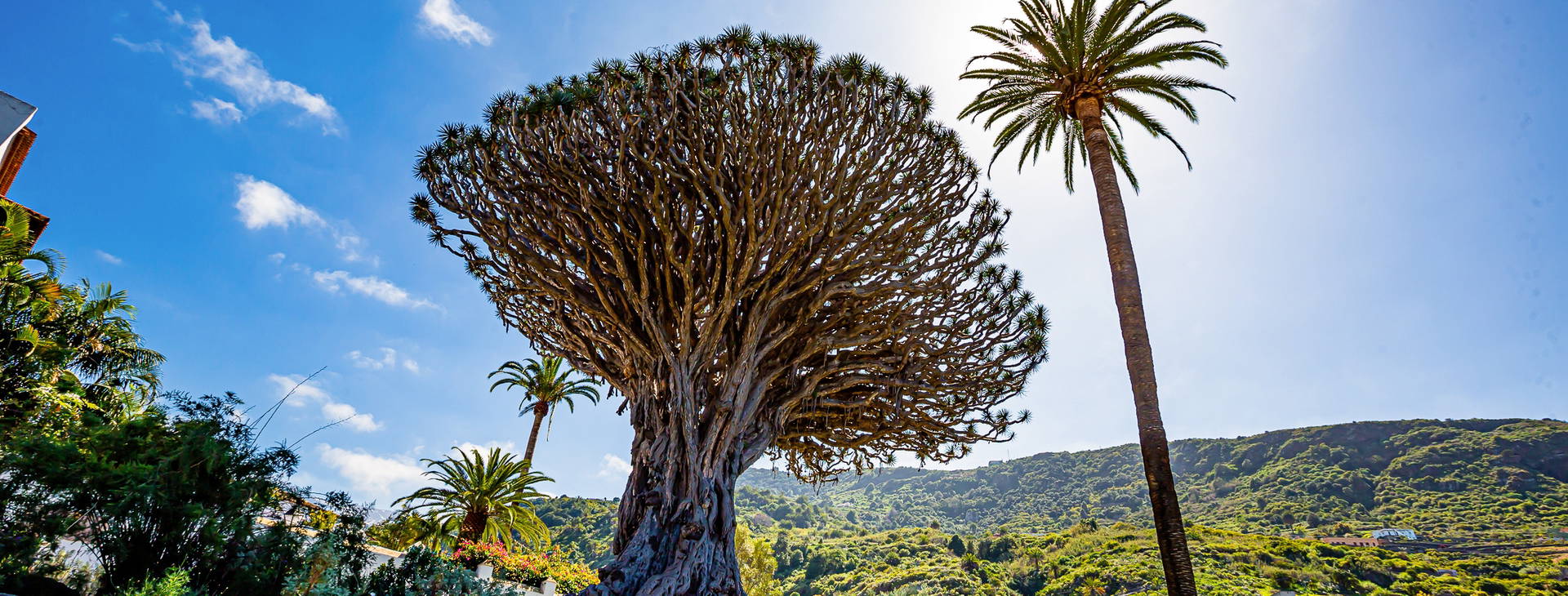 Ubytování TAF Obrázek4