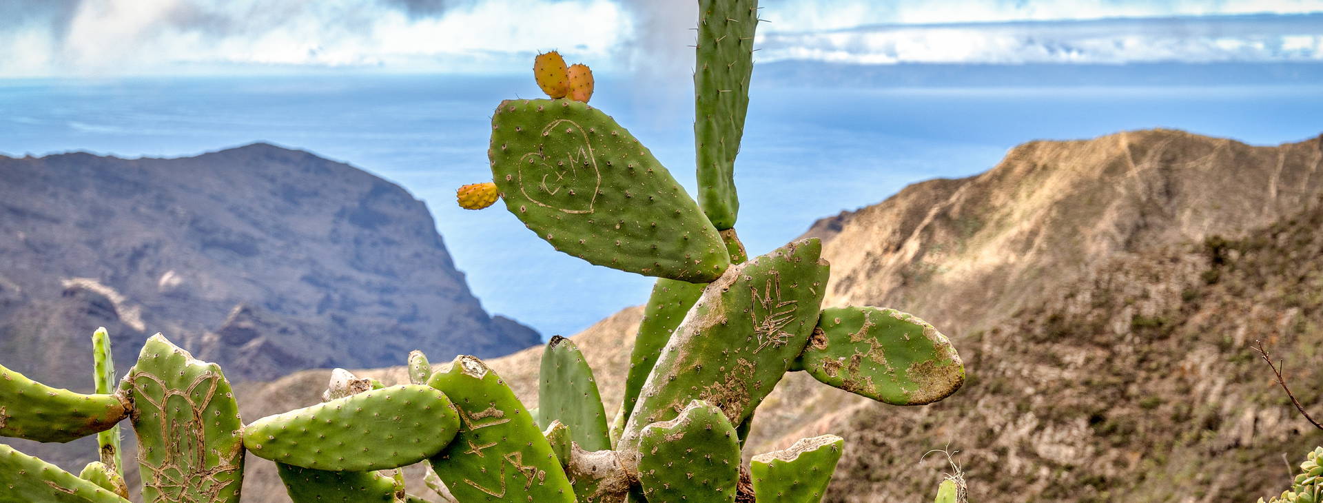 Ubytování TAF Obrázek18