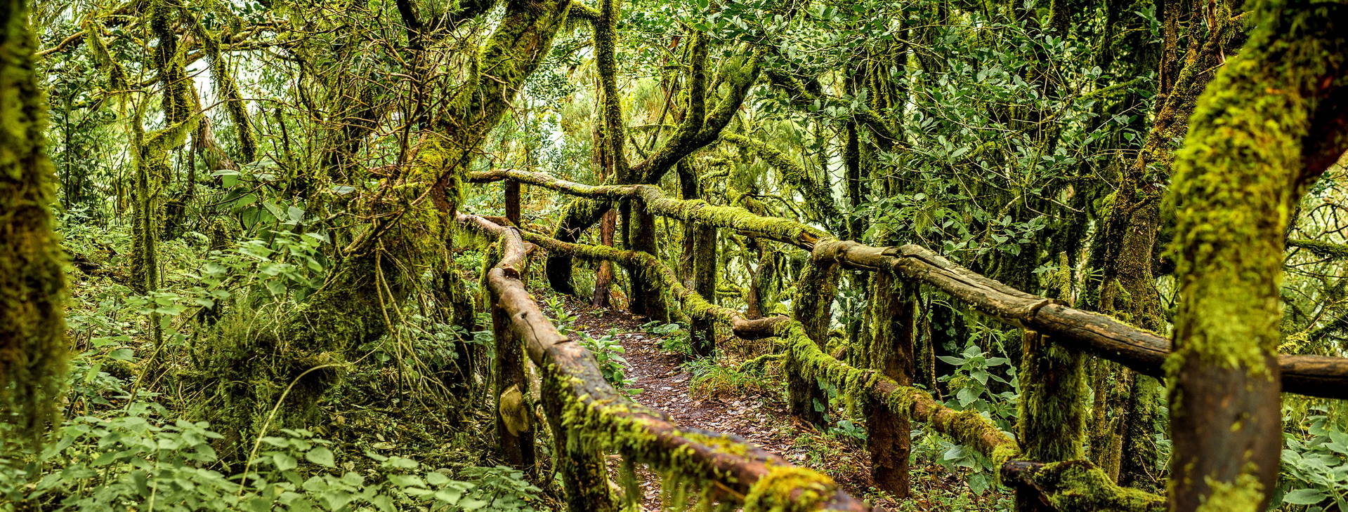 Ubytování TAF Obrázek21