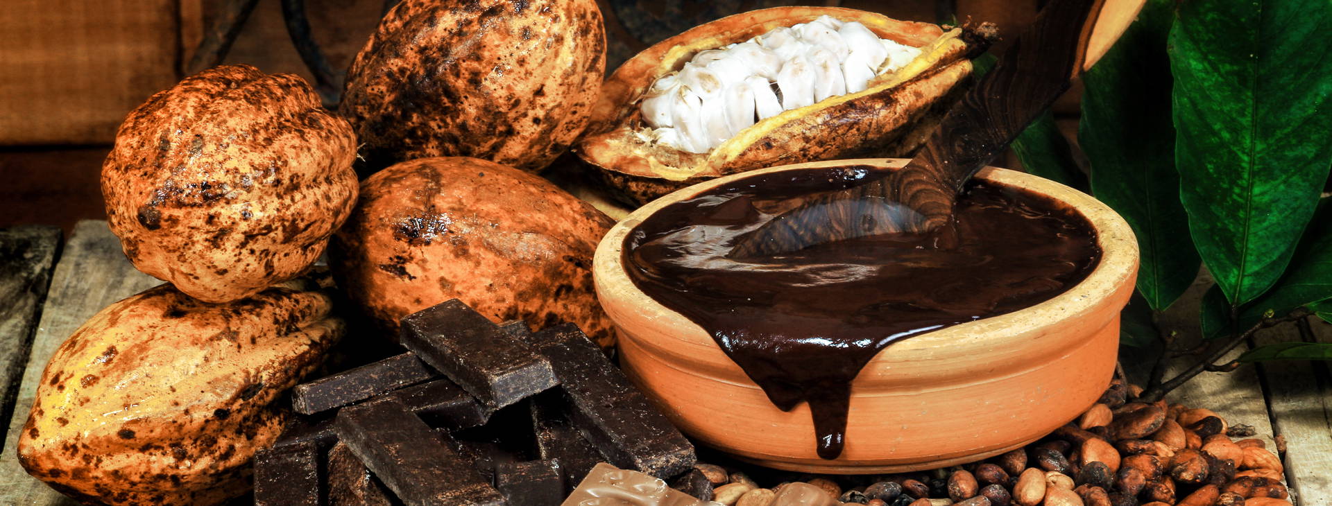 Ubytování WNO Obrázek4