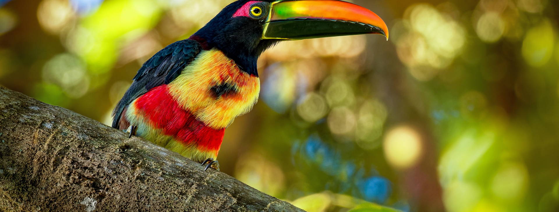 Ubytování WNO Obrázek3