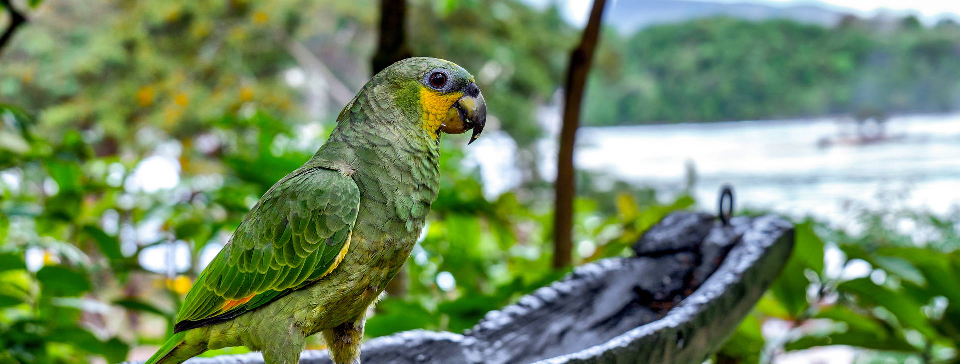 Ubytování WNO Obrázek9