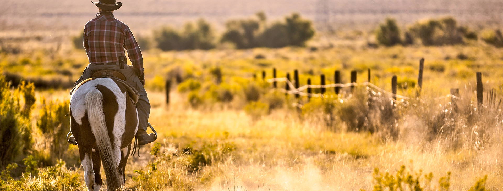 Ubytování UTX Obrázek0