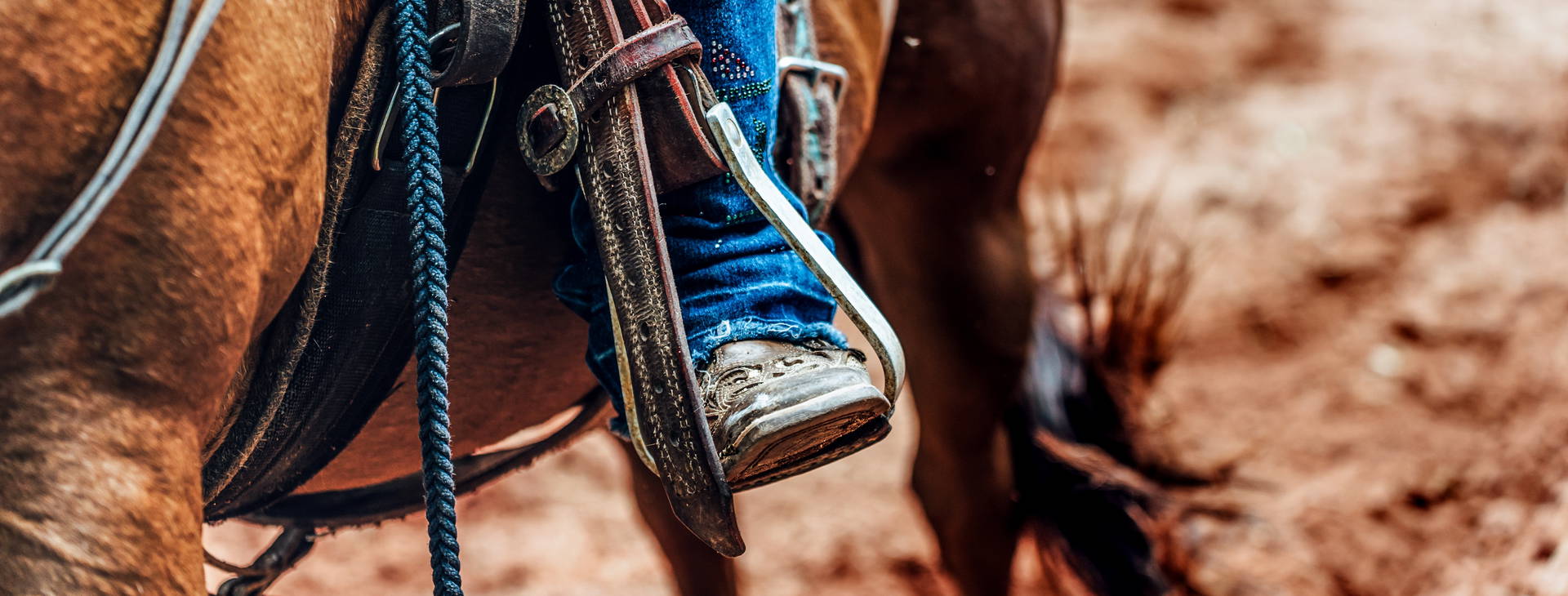 Ubytování UTX Obrázek7