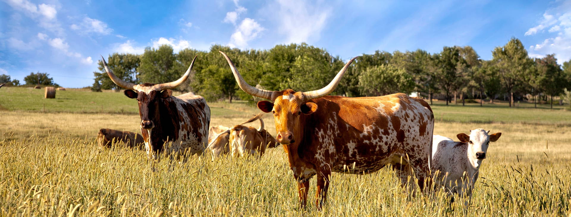 Ubytování UTX Obrázek10