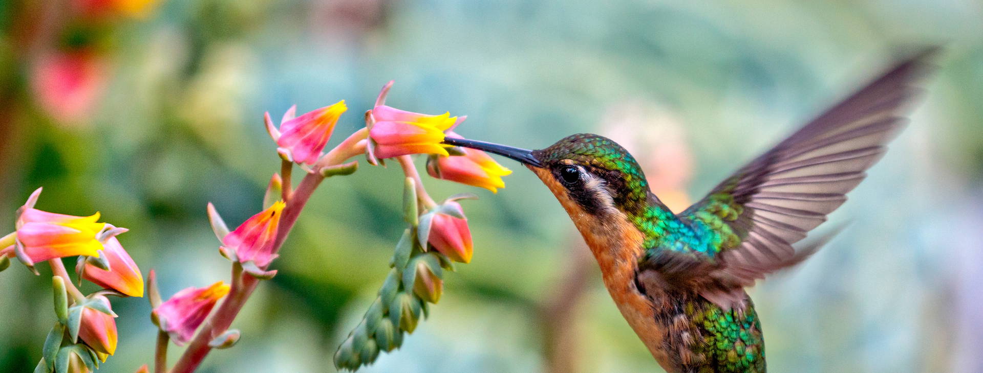 Ubytování PKE Obrázek0