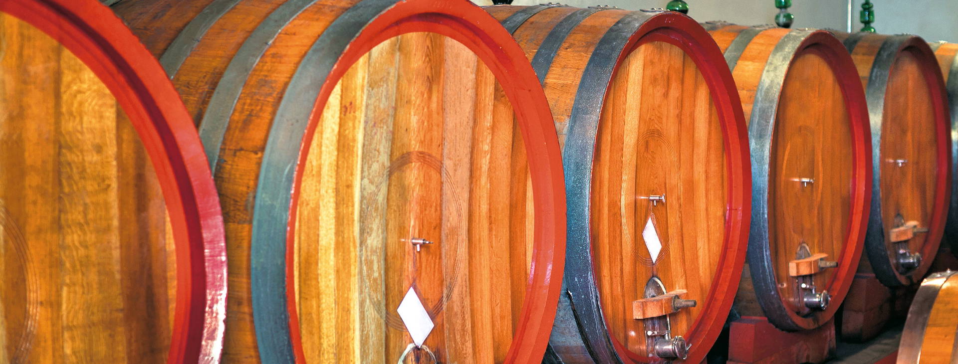 Ubytování CSA Obrázek23