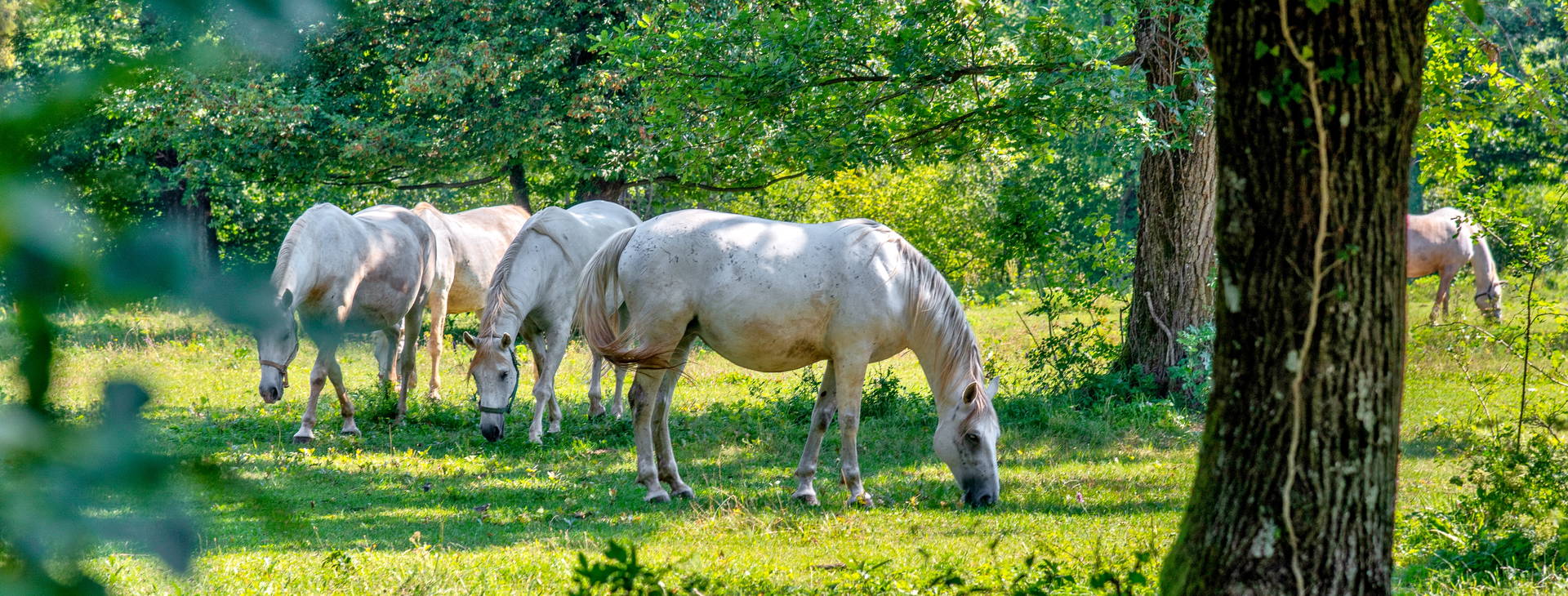 Ubytování CSA Obrázek14