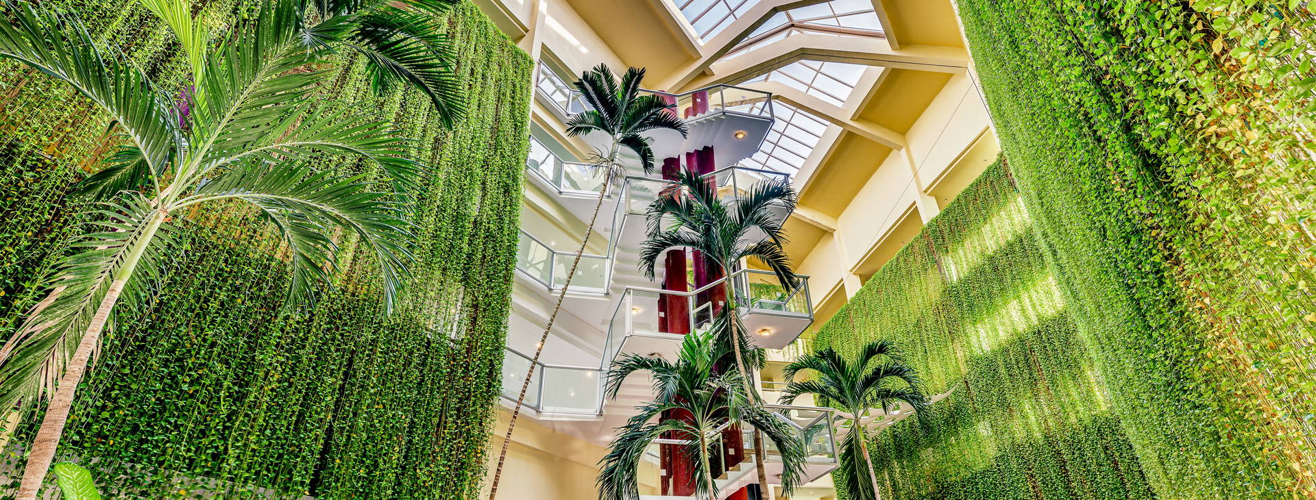 Barcelo Solymar Obrázek38