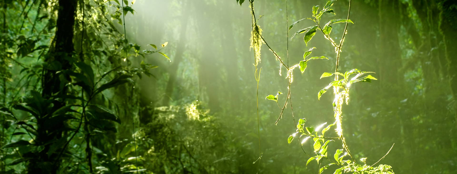 Ubytování KSJ Obrázek9