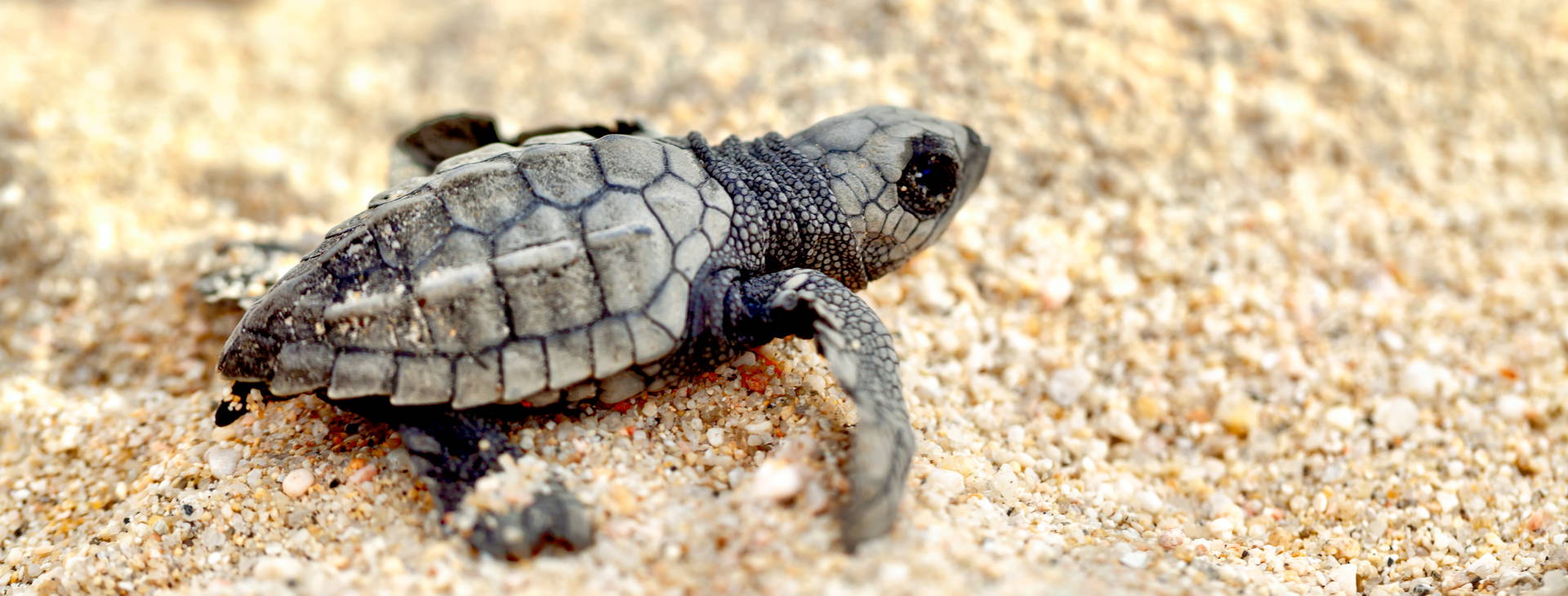 Ubytování KSJ Obrázek5