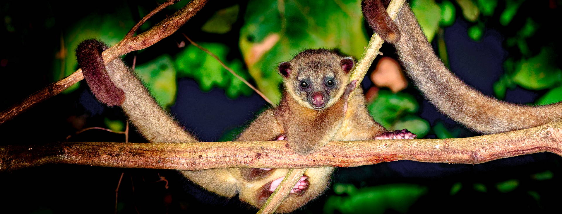 Ubytování KSJ Obrázek11