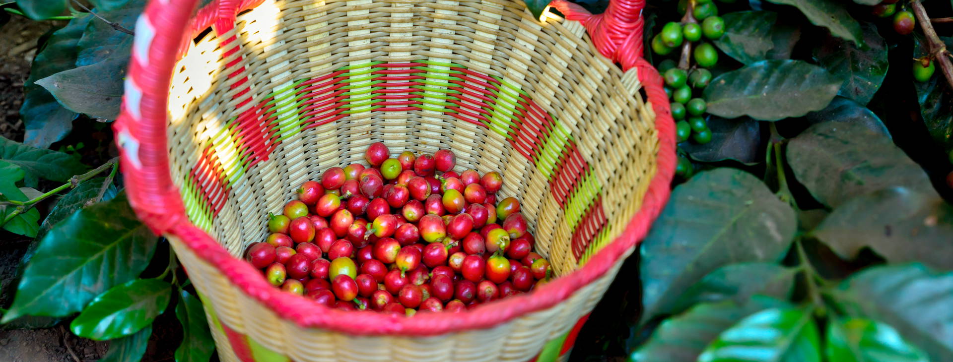 Ubytování KSJ Obrázek19