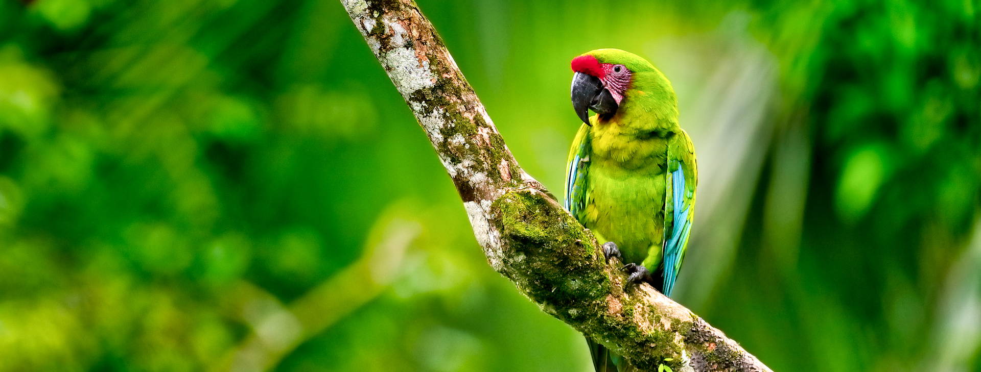 Ubytování KSJ Obrázek21