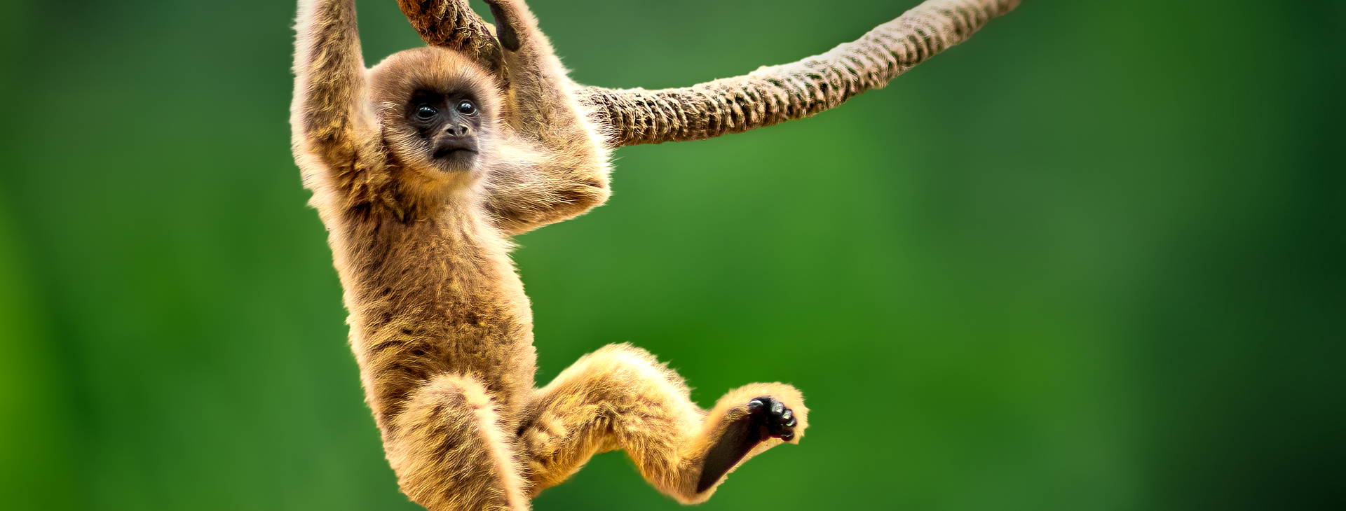 Ubytování KSJ Obrázek16