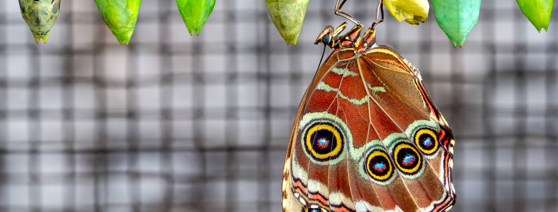 Ubytování KSJ Obrázek29