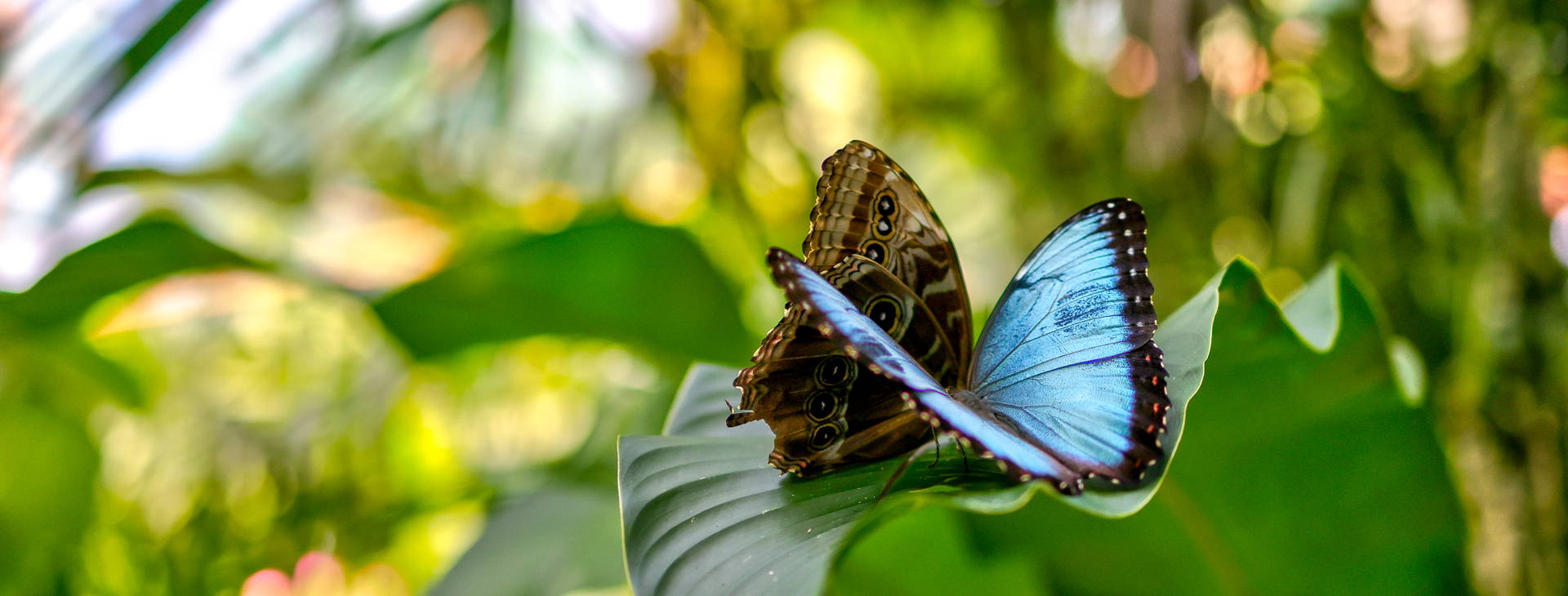 Ubytování KSJ Obrázek12