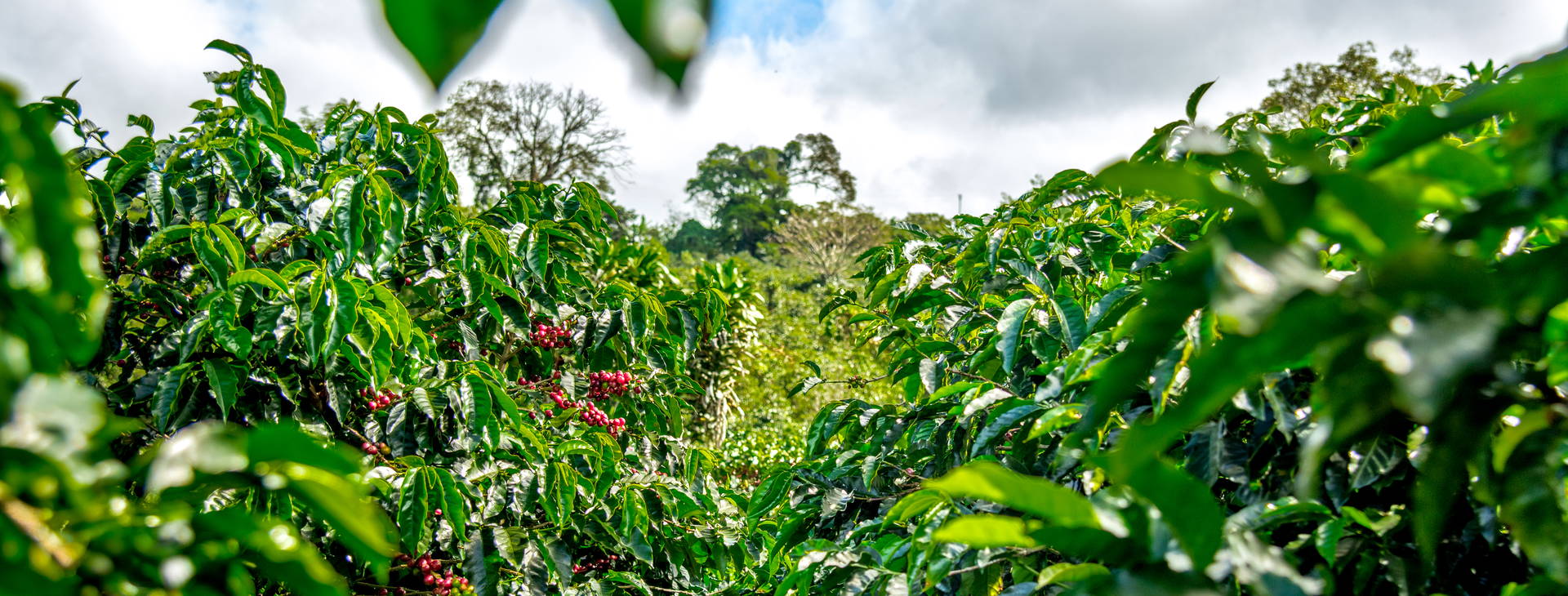 Ubytování KSJ Obrázek34