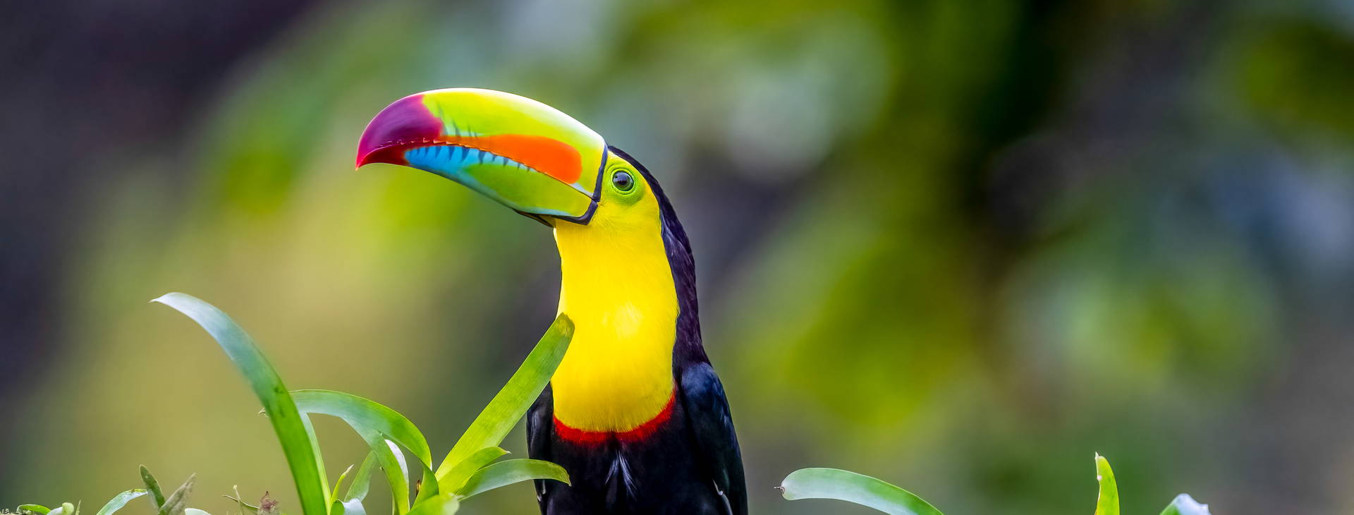 Ubytování KSJ Obrázek33